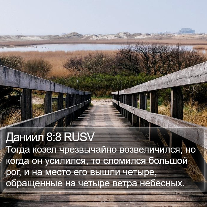 Даниил 8:8 RUSV Bible Study