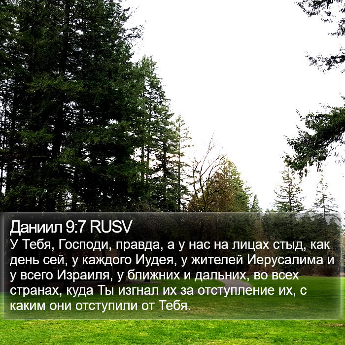 Даниил 9:7 RUSV Bible Study