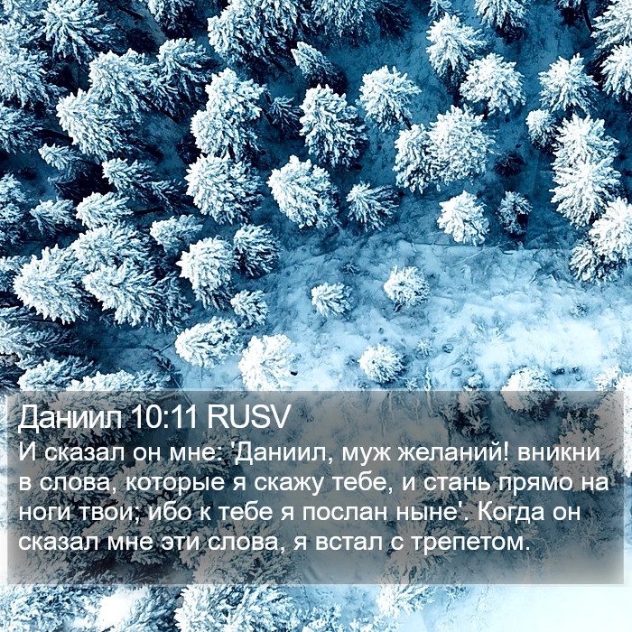 Даниил 10:11 RUSV Bible Study