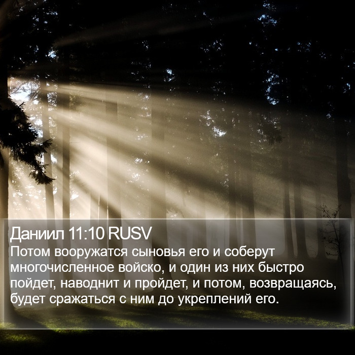 Даниил 11:10 RUSV Bible Study