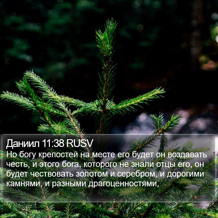 Даниил 11:38 RUSV Bible Study