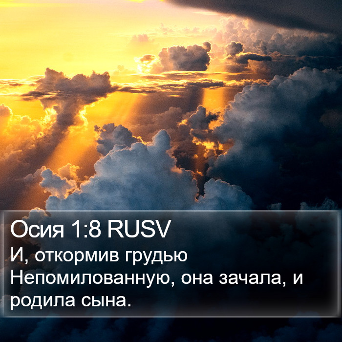 Осия 1:8 RUSV Bible Study