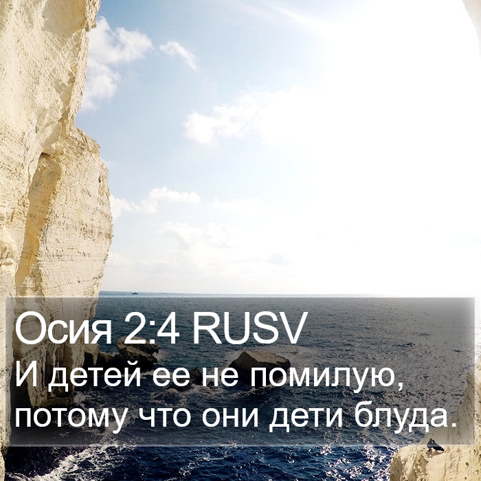 Осия 2:4 RUSV Bible Study