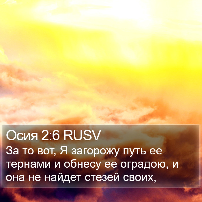 Осия 2:6 RUSV Bible Study