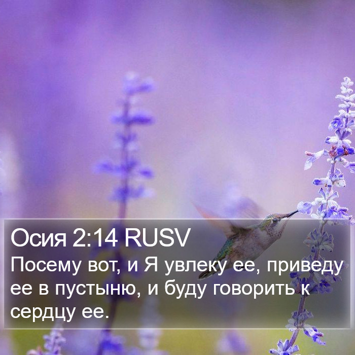 Осия 2:14 RUSV Bible Study