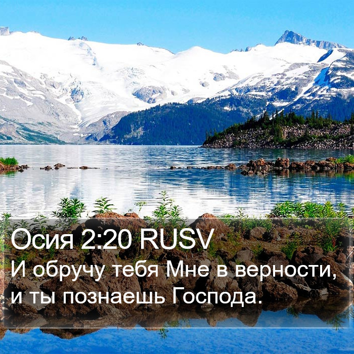 Осия 2:20 RUSV Bible Study