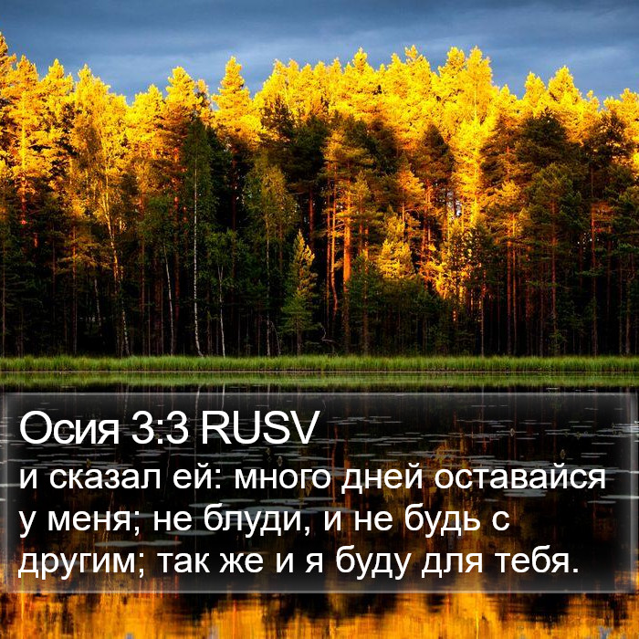 Осия 3:3 RUSV Bible Study