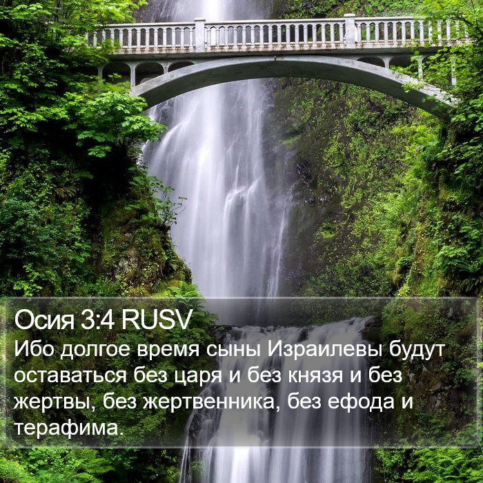 Осия 3:4 RUSV Bible Study