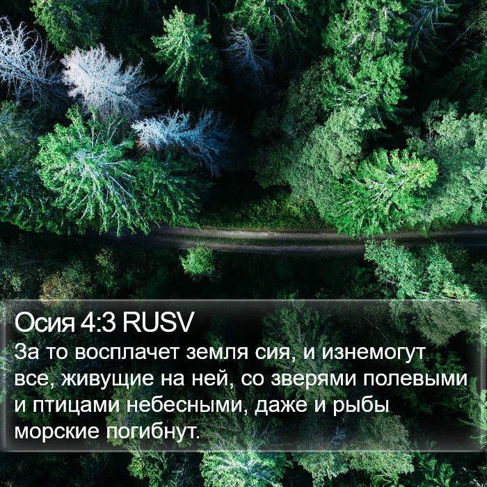 Осия 4:3 RUSV Bible Study