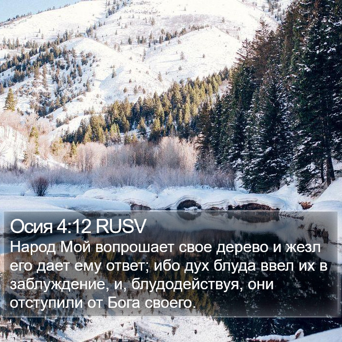 Осия 4:12 RUSV Bible Study