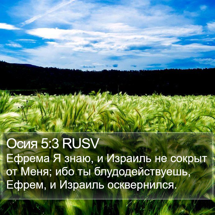 Осия 5:3 RUSV Bible Study