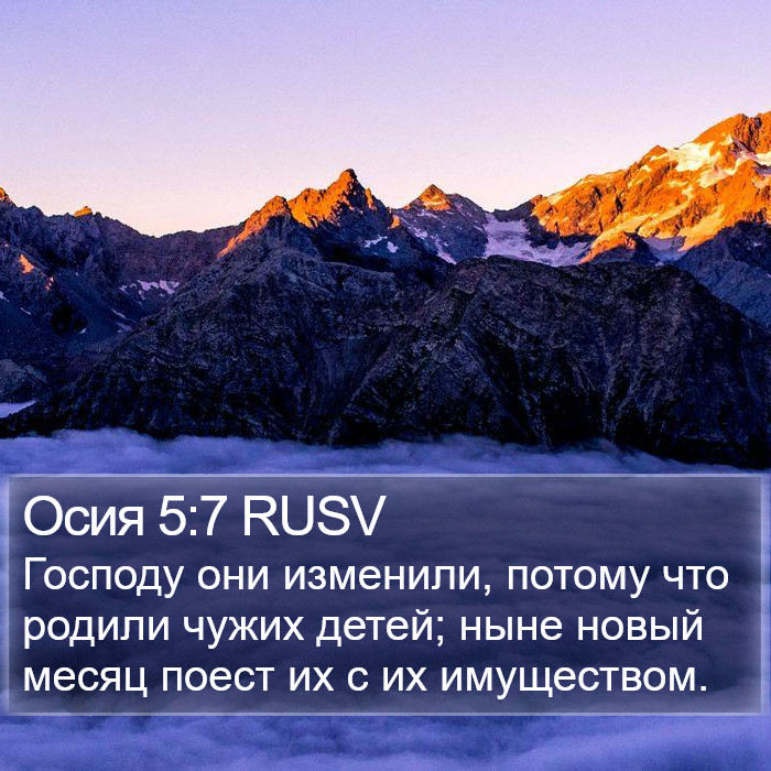 Осия 5:7 RUSV Bible Study