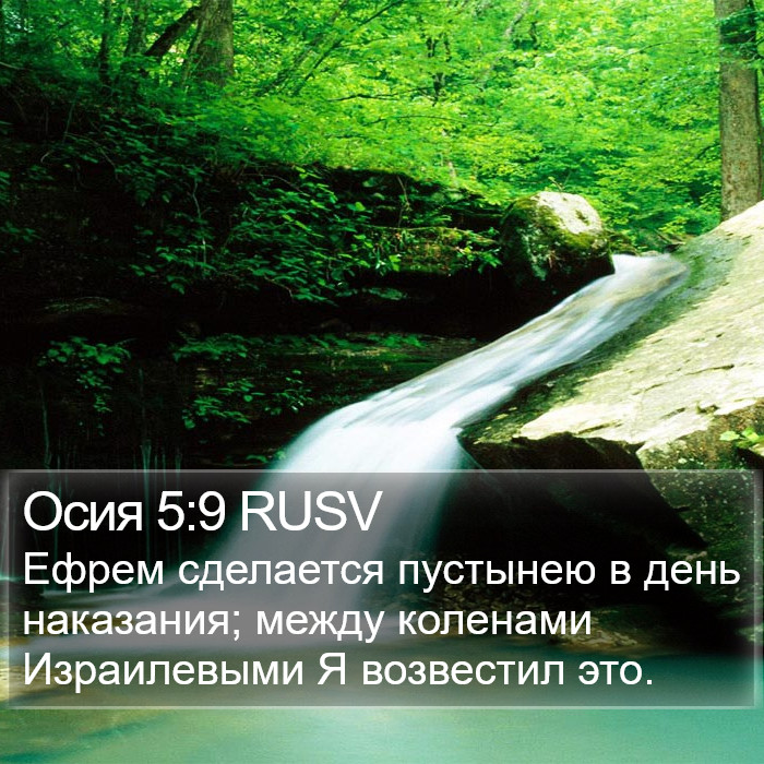 Осия 5:9 RUSV Bible Study