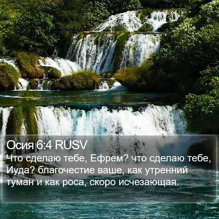 Осия 6:4 RUSV Bible Study