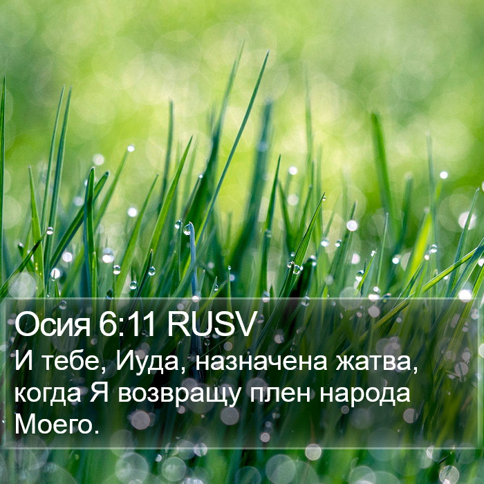 Осия 6:11 RUSV Bible Study