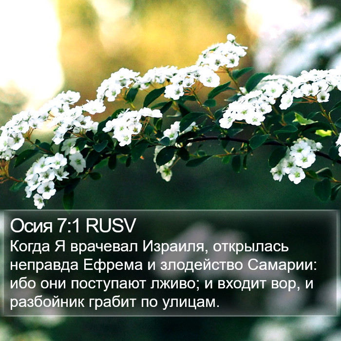 Осия 7:1 RUSV Bible Study