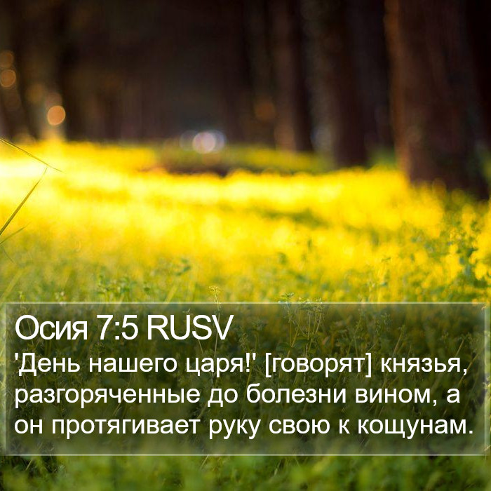 Осия 7:5 RUSV Bible Study