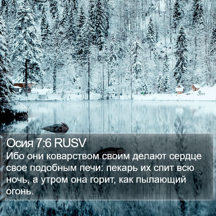 Осия 7:6 RUSV Bible Study