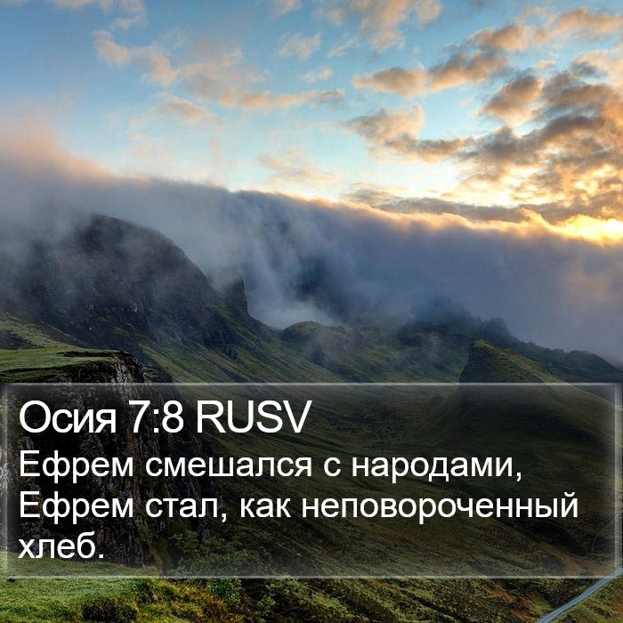 Осия 7:8 RUSV Bible Study