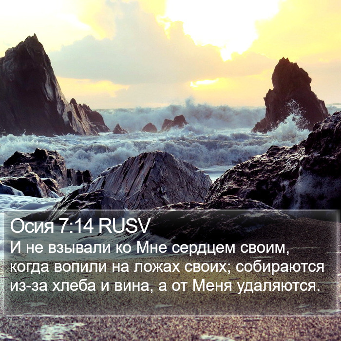 Осия 7:14 RUSV Bible Study