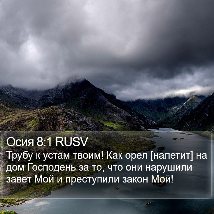 Осия 8:1 RUSV Bible Study