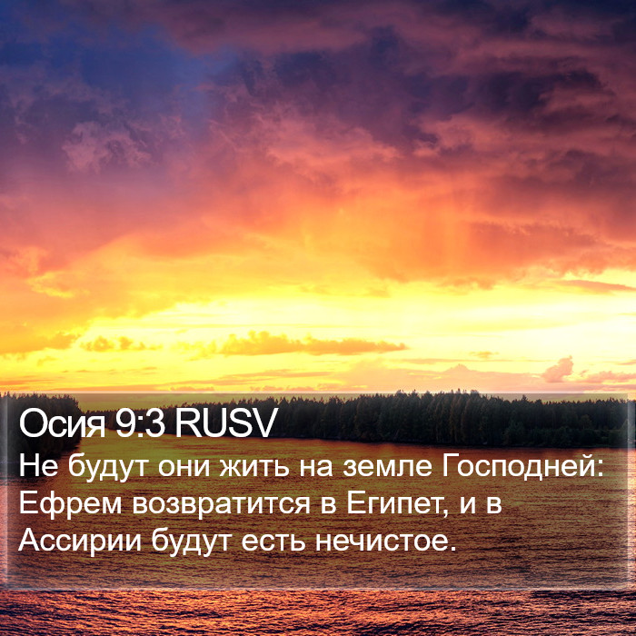 Осия 9:3 RUSV Bible Study