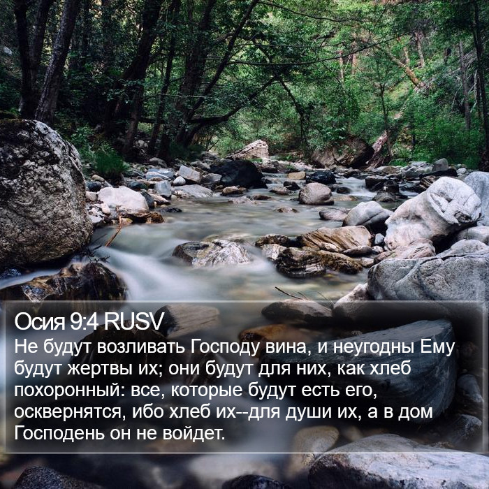 Осия 9:4 RUSV Bible Study