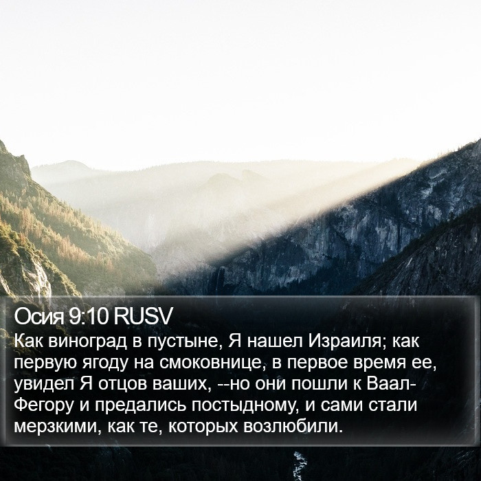 Осия 9:10 RUSV Bible Study