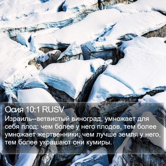 Осия 10:1 RUSV Bible Study