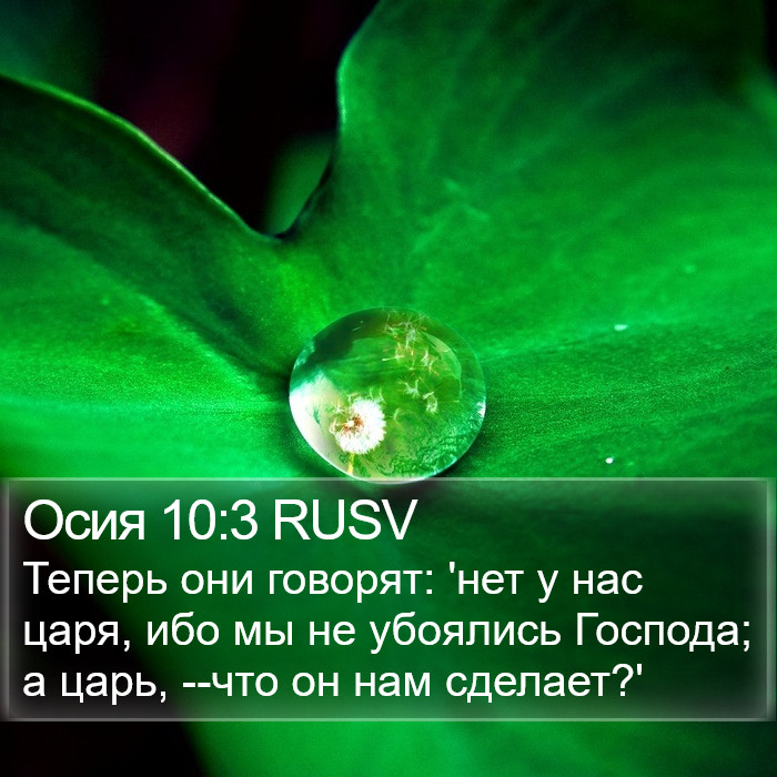 Осия 10:3 RUSV Bible Study