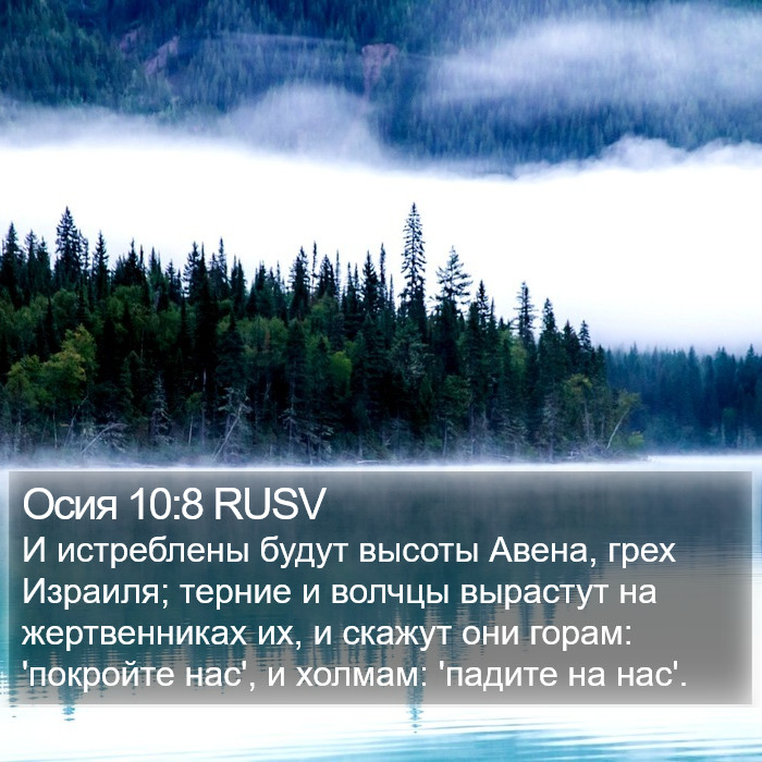 Осия 10:8 RUSV Bible Study