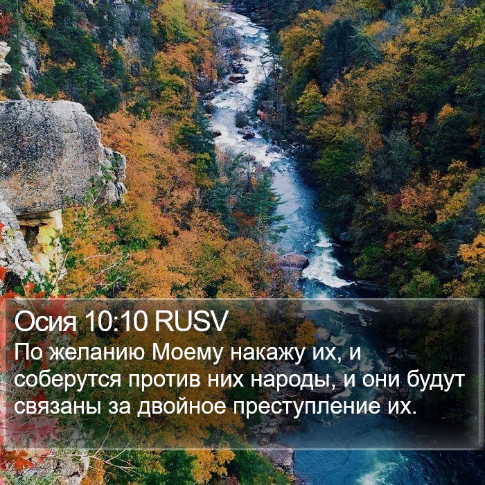 Осия 10:10 RUSV Bible Study