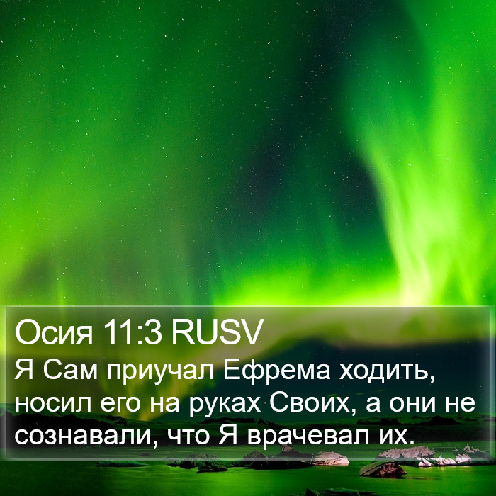 Осия 11:3 RUSV Bible Study