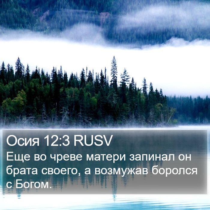 Осия 12:3 RUSV Bible Study