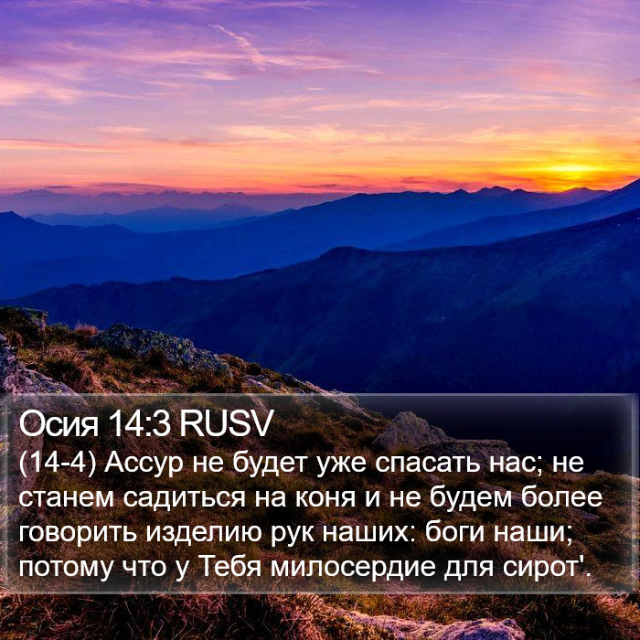 Осия 14:3 RUSV Bible Study