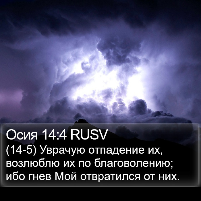 Осия 14:4 RUSV Bible Study
