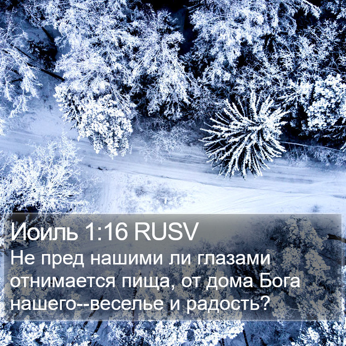 Иоиль 1:16 RUSV Bible Study