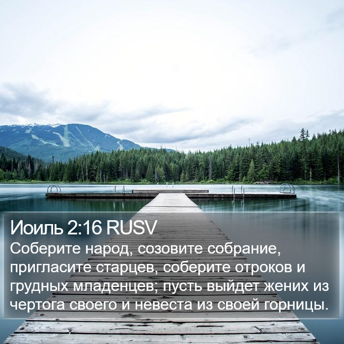 Иоиль 2:16 RUSV Bible Study