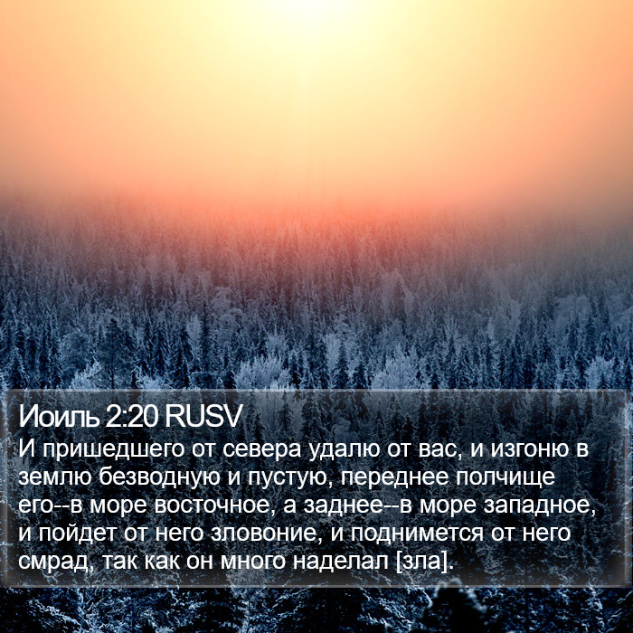 Иоиль 2:20 RUSV Bible Study