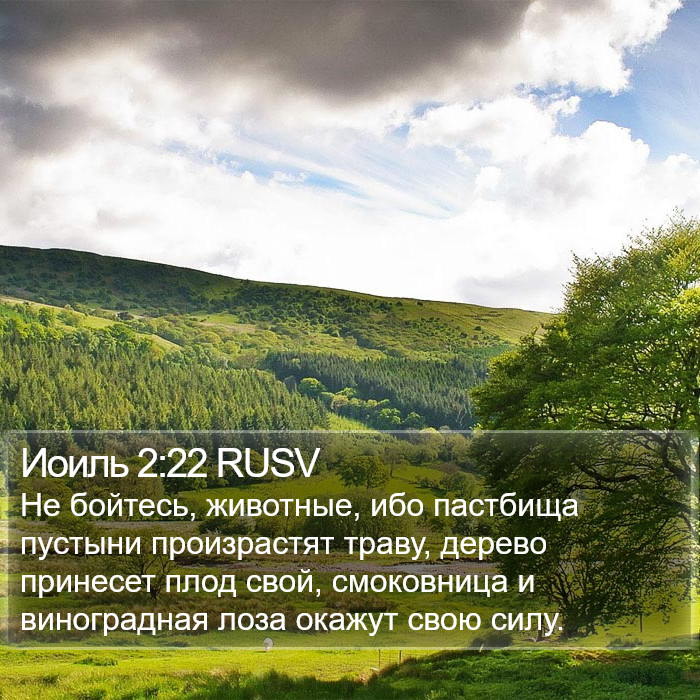 Иоиль 2:22 RUSV Bible Study