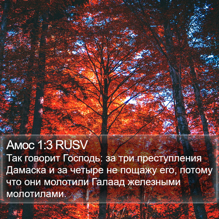 Амос 1:3 RUSV Bible Study