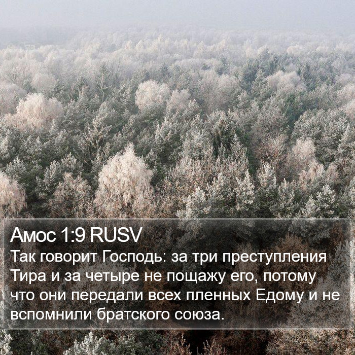 Амос 1:9 RUSV Bible Study