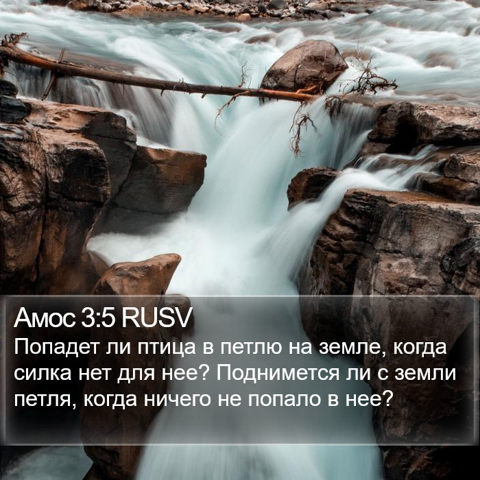 Амос 3:5 RUSV Bible Study