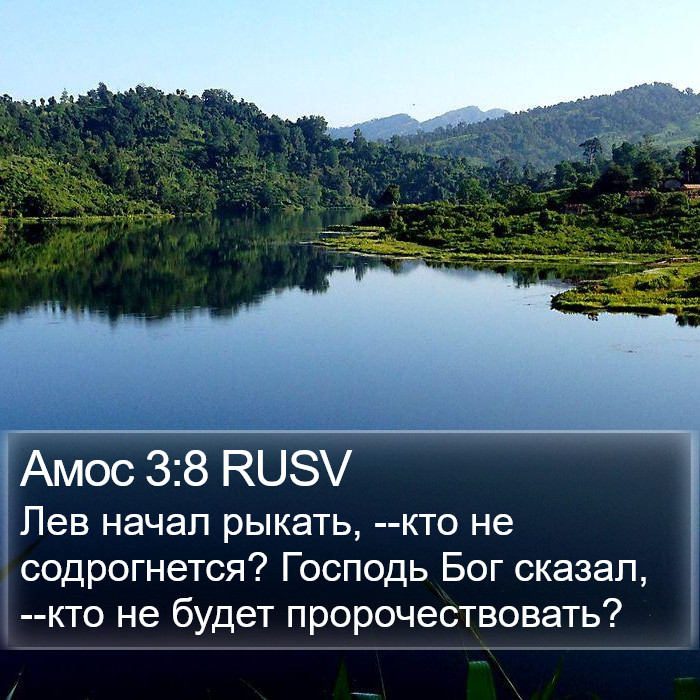 Амос 3:8 RUSV Bible Study