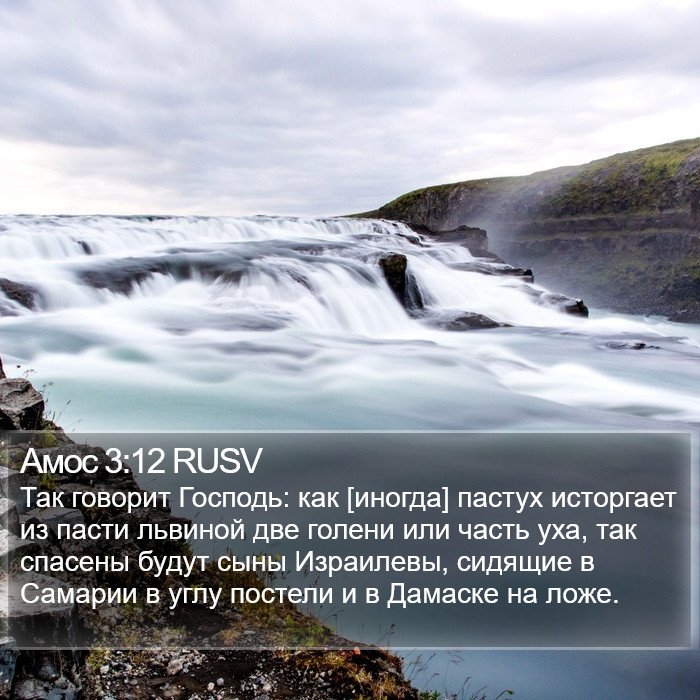 Амос 3:12 RUSV Bible Study