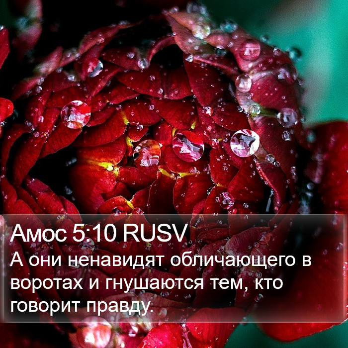 Амос 5:10 RUSV Bible Study