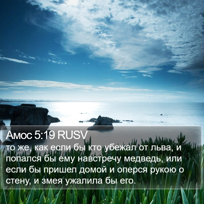 Амос 5:19 RUSV Bible Study