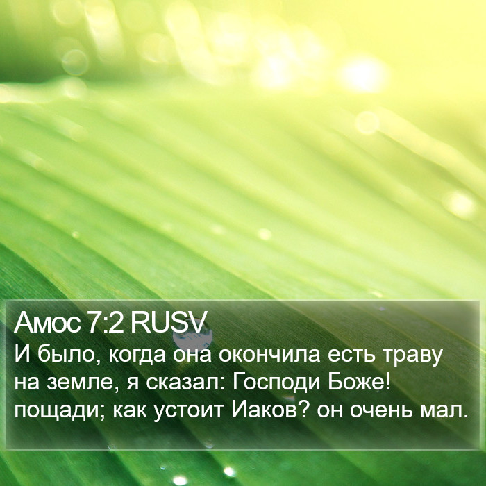 Амос 7:2 RUSV Bible Study