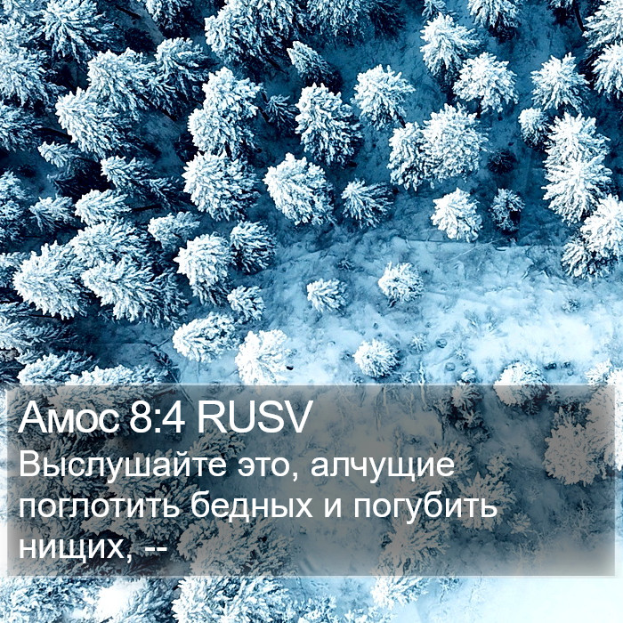 Амос 8:4 RUSV Bible Study