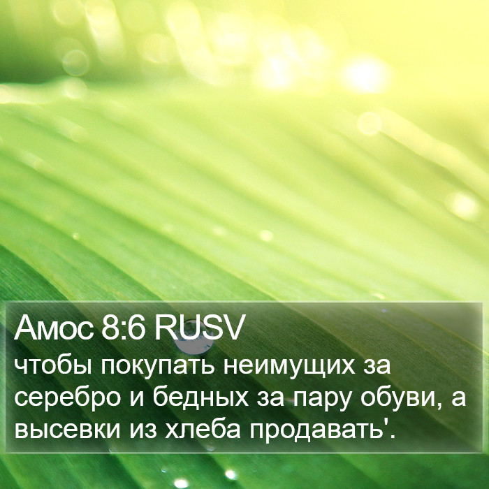 Амос 8:6 RUSV Bible Study